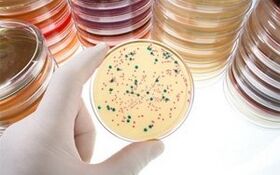 Diagnosi di malattie parassita