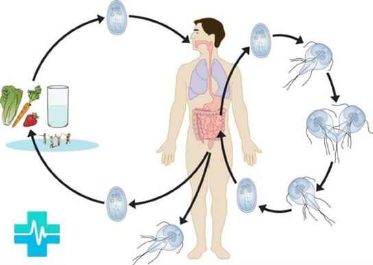 Come può una persona essere infettata